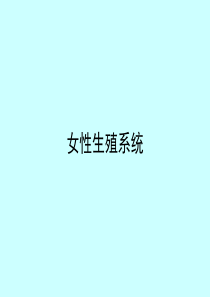 组织胚胎学课件-女性生殖系统