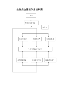 生物安全组织管理体系结构图