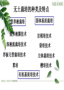 无土栽培的种类及特点