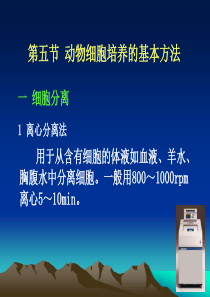 3.2动物细胞培养的基本方法