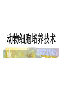 1.动物细胞培养技术