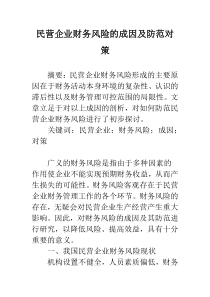 民营企业财务风险的成因及防范对策