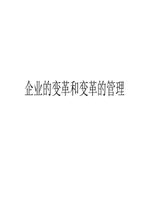 企业的变革和变革的管理（PPT 376页）