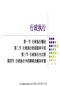 [管理制度]行政管理—行政执行(ppt 24页)(1)