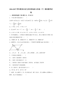 20162017学年黑龙江省大庆市林甸县七年级下期末数学试卷及含答案解析