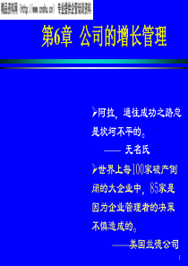 企业管理-公司的增长管理（PPT72页）