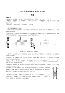 2018年安徽省初中学业水平考试详细答案2018中考物理试卷初中物理人教版八年级下册教学资源