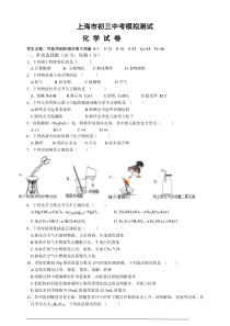 上海市初三中考化学模拟测试卷