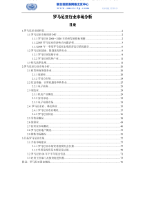 营销市场--罗马尼亚行业市场分析（PDF 87页）(1)