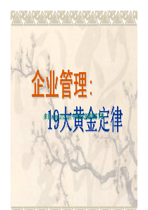 企业管理培训《19条黄金定律》(pdf 38页)