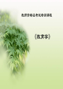 教师资格证考试培训课程