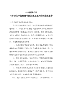 劳动监察整改报告