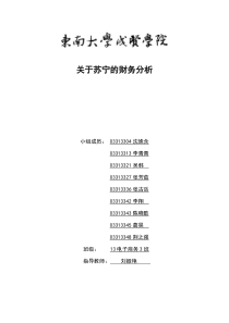 苏宁财务分析剖析