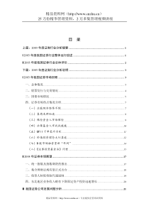 企业管理控制系统-安达信