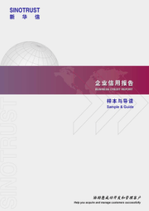 咨询---新华信---企业信用报告---样本与导读