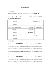 公司征信报告