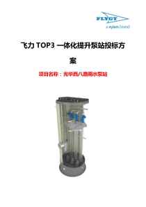 飞力TOP3一体化泵站方案