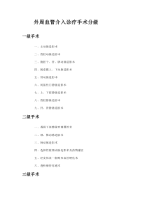 外周血管介入诊疗手术分级-文档