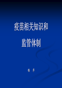 运动服装行业分析报告