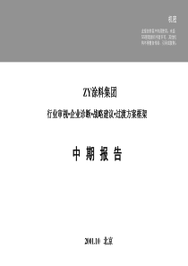 远卓为中远做的涂料行业分析报告（PPT 206页）