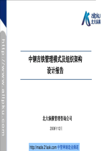 企业管理模式及组织架构设计报告