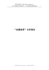 通信行业-“动感地带”分析报告