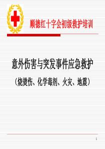 意外事件与突发事件处理(烧烫伤、火灾、地震)