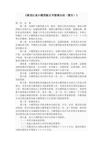 《黑龙江省小额贷款公司管理办法(暂行)》