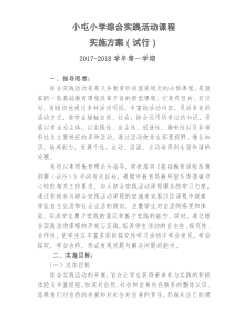 小学综合实践活动课程实施方案