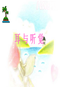 初中生物-耳与听觉PPT课件1