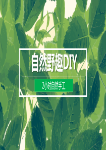 DIY---植物粘贴画