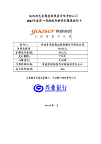 陕西控股集团有色金属行业分析报告