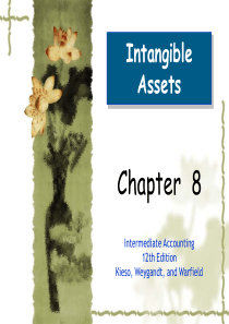 2012中级财务会计英文版第八章课件-无形资产FA08Intangible-Assets