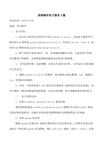 系统维护实习报告3篇