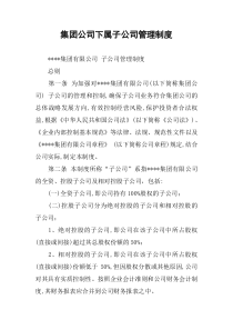 集团公司下属子公司管理制度