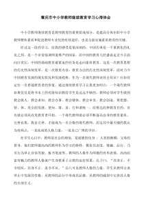 中小学教师继续教育学习心得体会