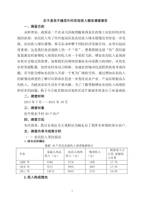 农民收入情况调查报告