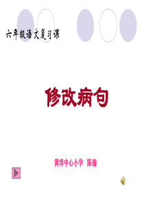 六年级语文总复习课《修改病句》修改课件