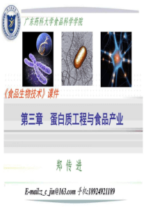 食品生物技术导论-蛋白质工程与食品产业-图文.ppt