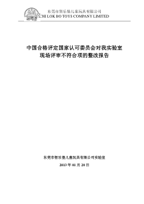 实验室评审整改报告