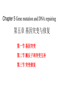 5分子生物学第五章-基因突变和修复