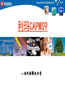 企业资源计划管理---利玛CAPMS9(1)