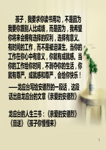 《孩子你慢慢来》读书报告PPT课件