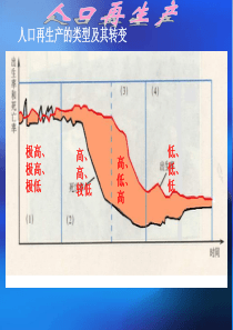 人口再生产类型的地区分布高二地理课件