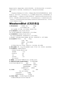 详细介绍western-blot