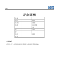 IT项目管理-项目成本预算计划-模板