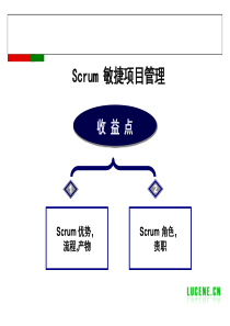 2019-Scrum敏捷项目管理20190525234-文档资料