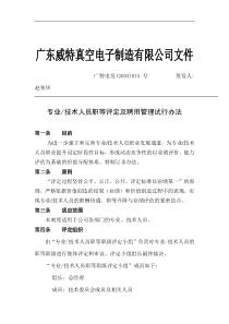 专业及技术人员职等评定及聘用管理试行办法（DOC11页）