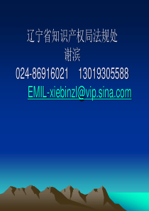 专利制度与专利申请实务