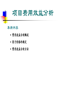 11项目费用效益分析